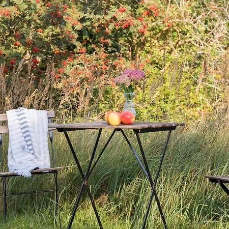 Tv1428-bindslev-porsevej-3 *